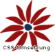 Avatar von css-umsetzung