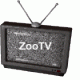 Avatar von ZOOTV