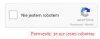 google-captcha.png